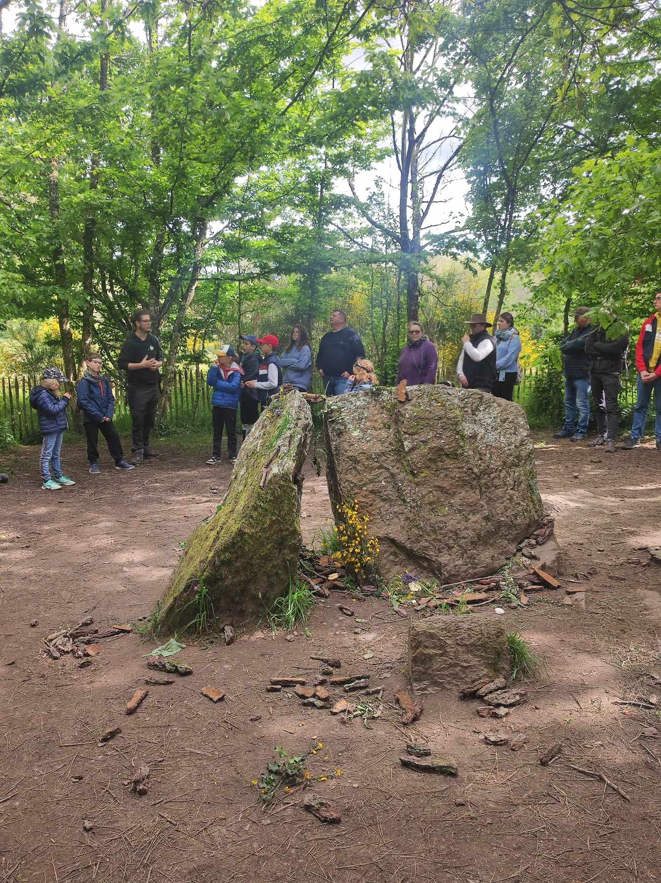 visiter la forêt de brocéliande
