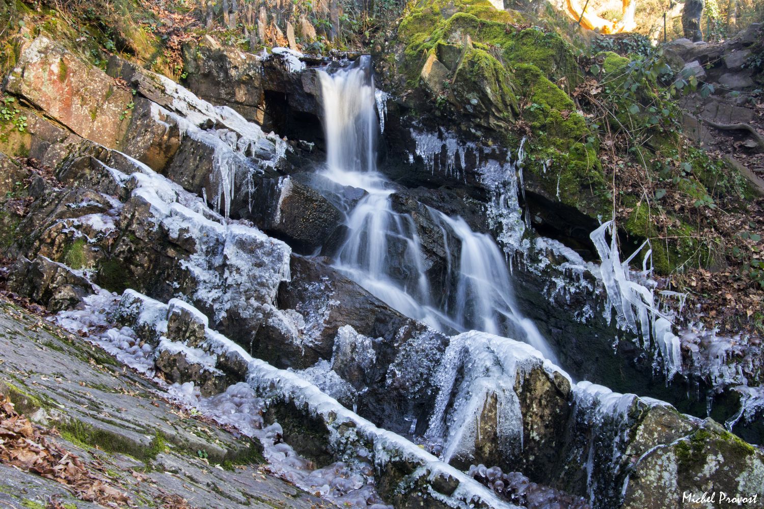 visiter la forêt de brocéliande
