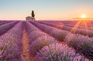 lieux insolites provence