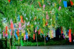 tanabata japon